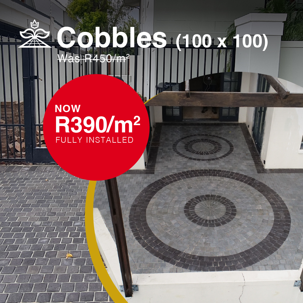 Cobbles 100 x 100